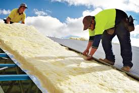 Best Insulation for New Construction  in Caledonia, MN