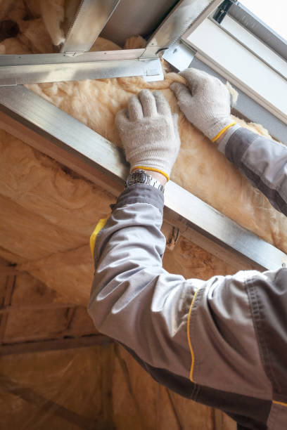 Best Reflective Insulation  in Caledonia, MN